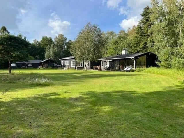 10018-1-rorvig-mollerens-vaenge-19 Rørvig